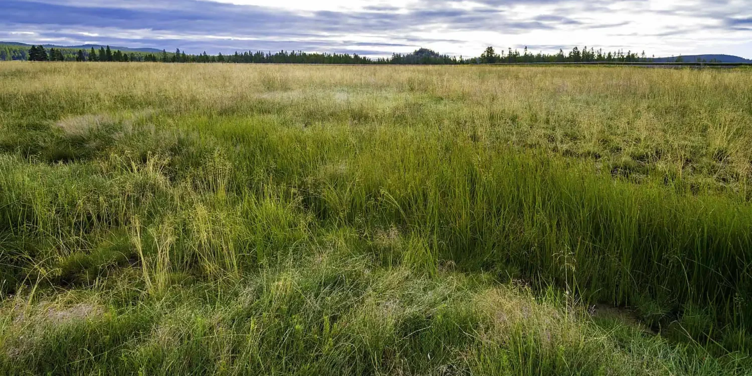 Vacant Land Insurance Maine